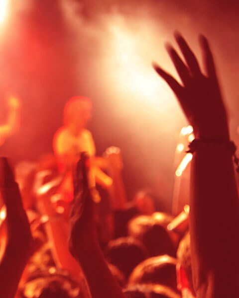 Banda gallery 01 free img
